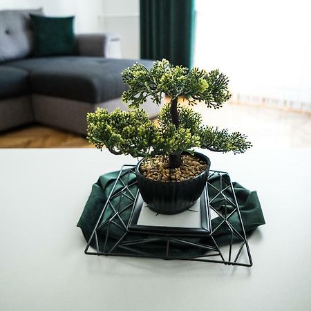Tania Apartament Oradea Ngoại thất bức ảnh