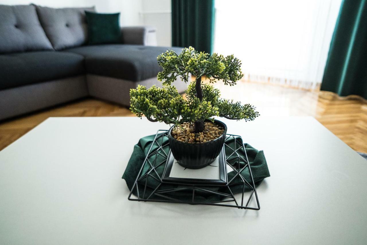 Tania Apartament Oradea Ngoại thất bức ảnh